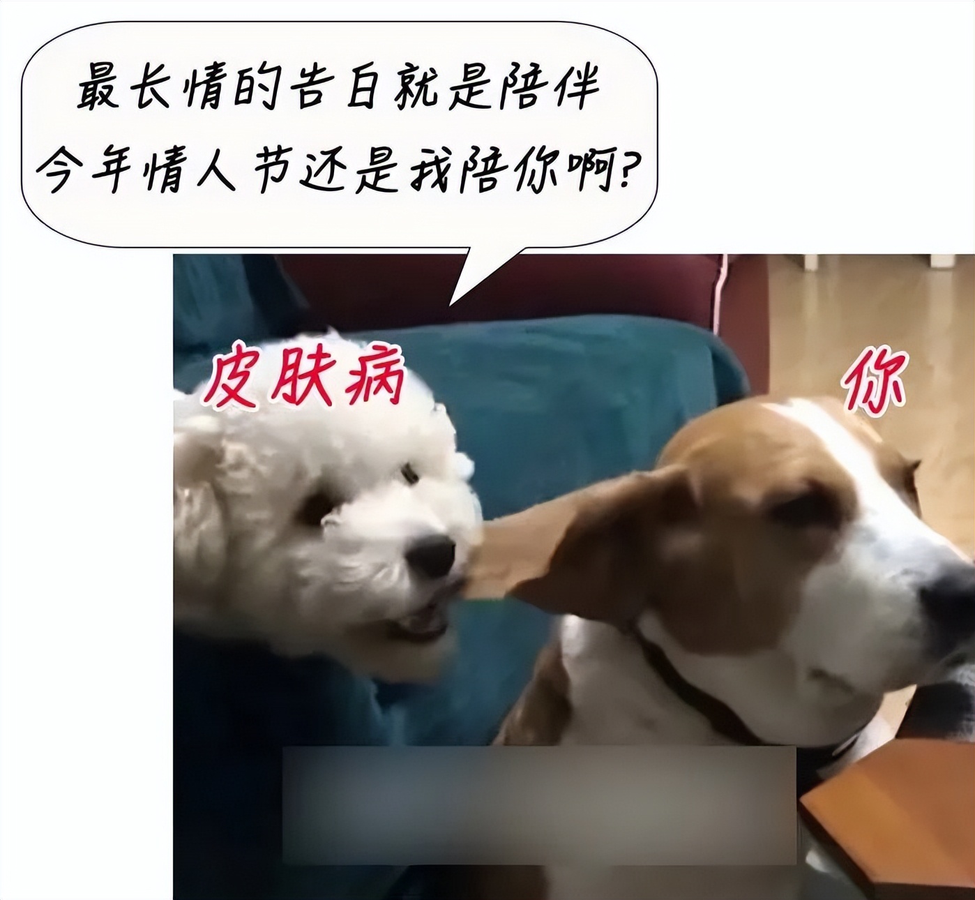 11岁男童额头上长满小疙瘩,10岁男孩子额头长斑