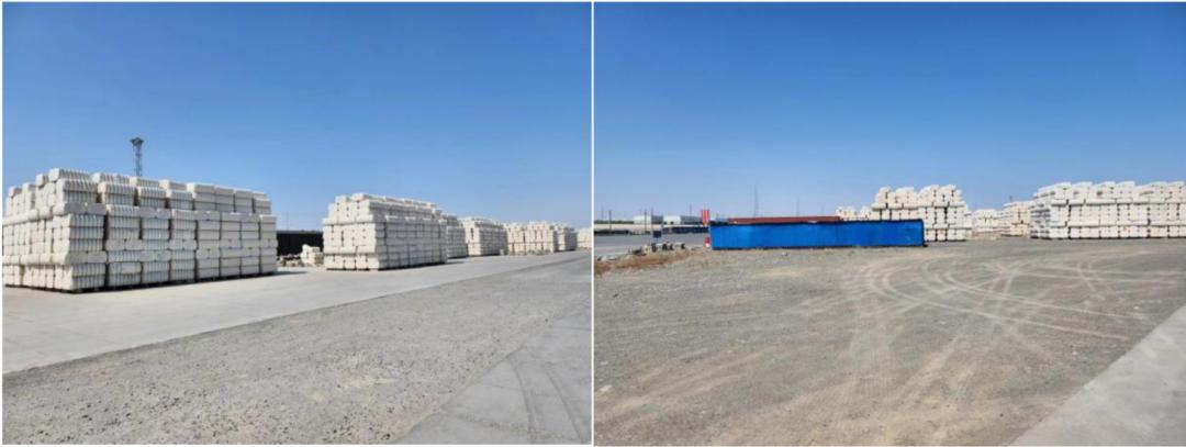 【调研】新年度*疆新**棉花种植情况如何？