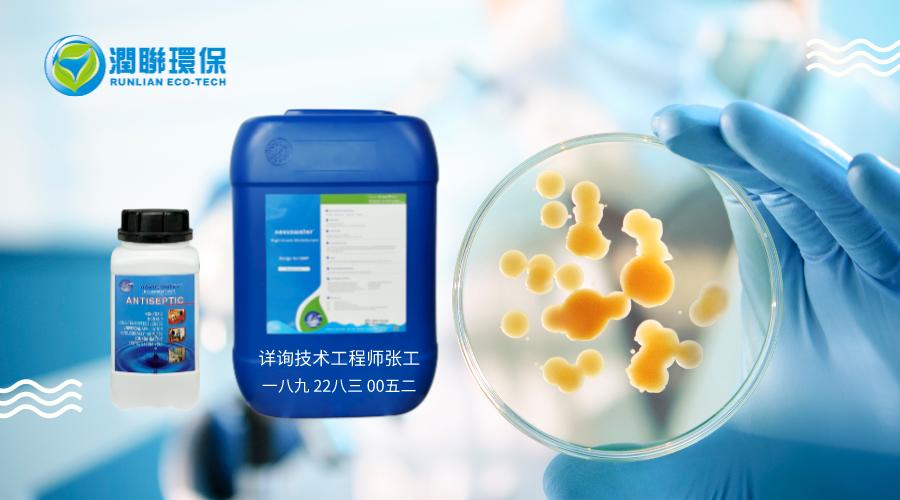 面包发霉一般是什么霉,面包发霉蒸一下还能吃吗