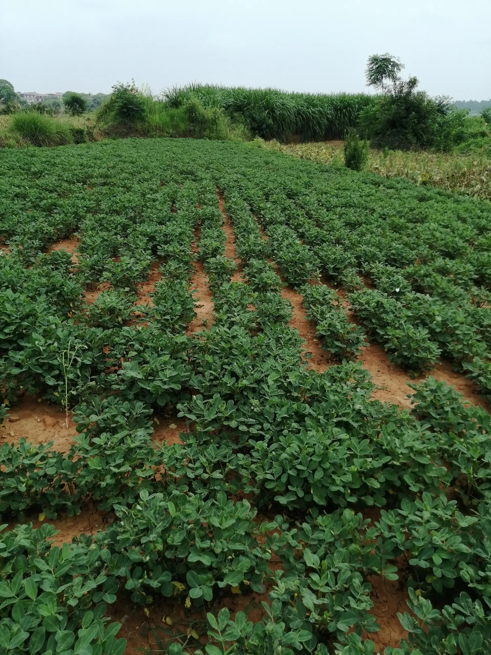 离开a股的贝莱德,离开a股市场
