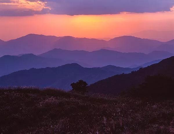 头条挑战赛：对《七律·秋叶即景（平水韵/六麻）》的注引解释
