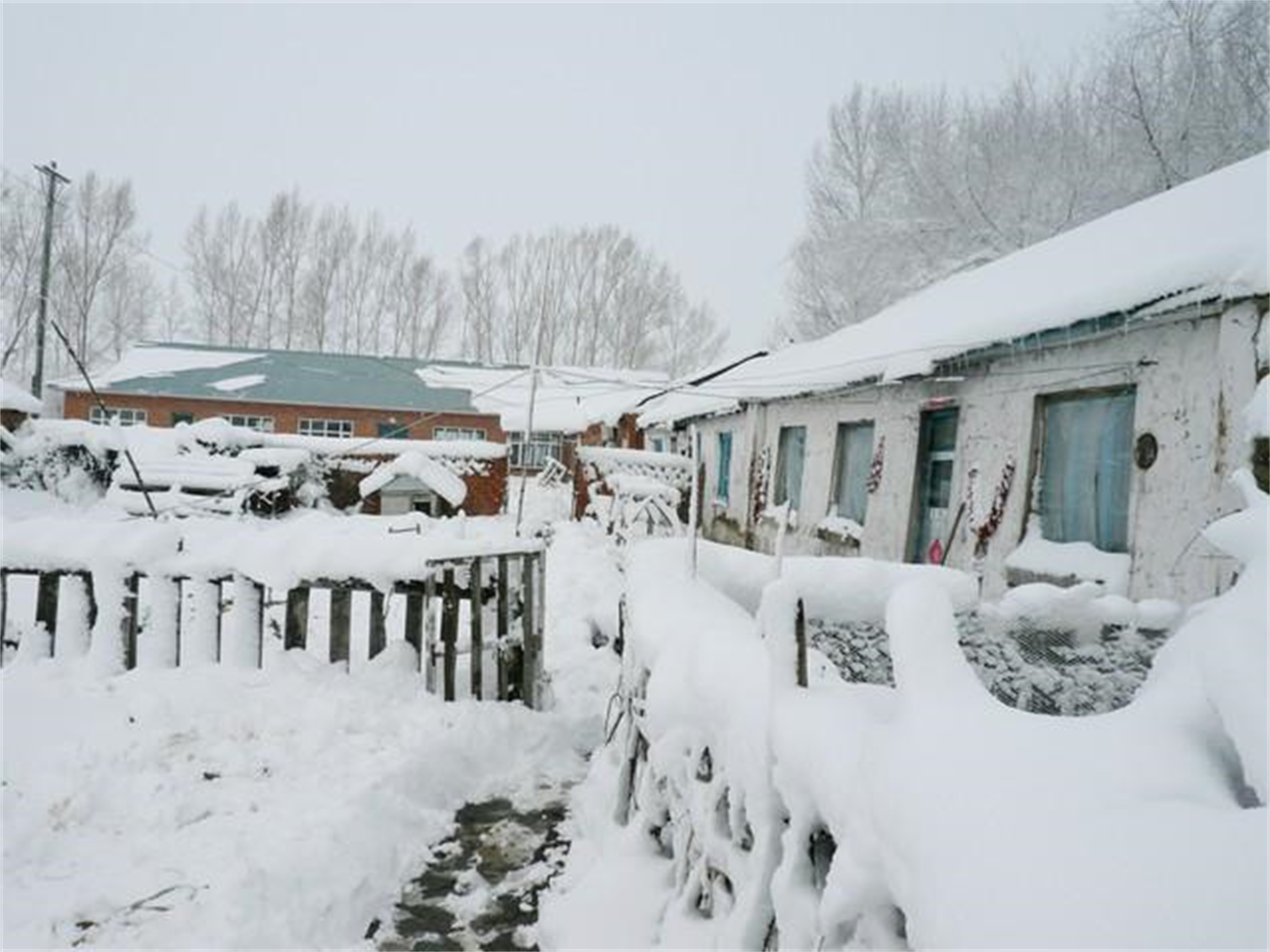 2023年标准版天气预报,天气预报2023年最新版