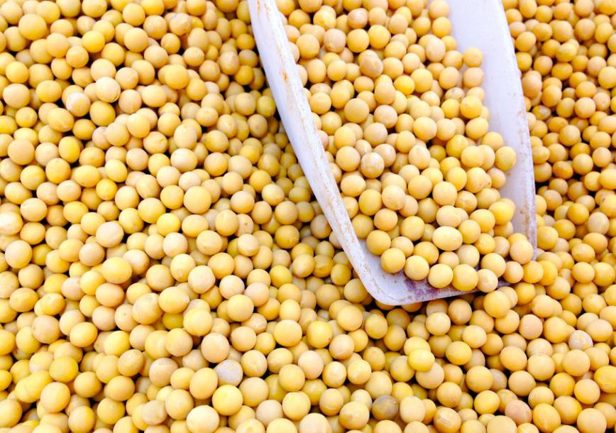 老美出口粮食视频,老美粮食计划