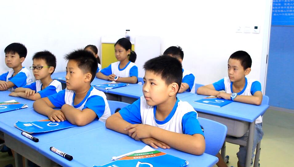 引领右脑与早教、补习机构有什么区别