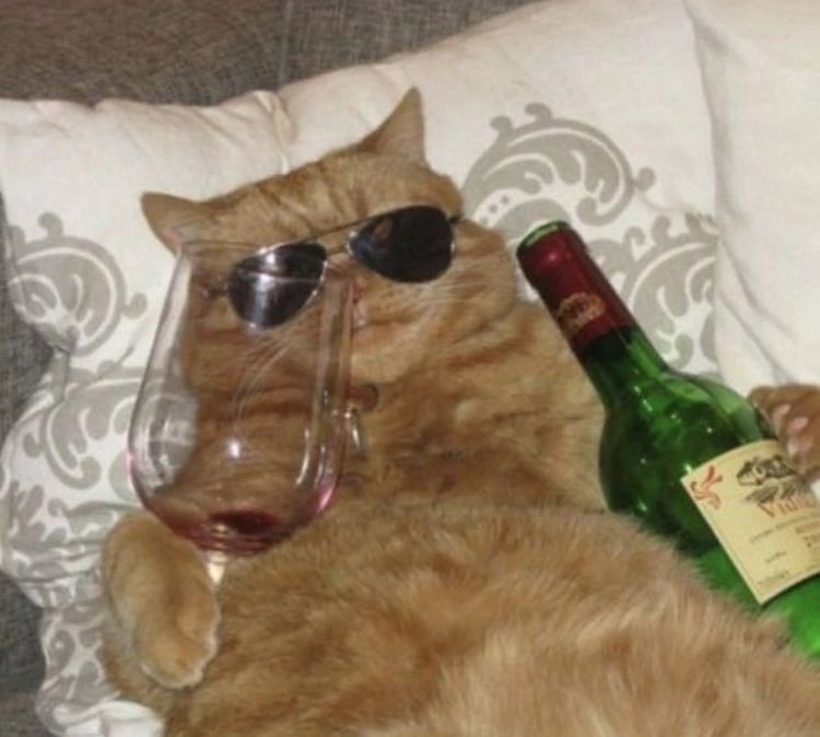 肯德基表情,表情吃东西