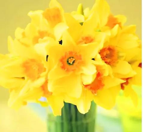 走向辉煌歌曲,走向辉煌叶千帆小说