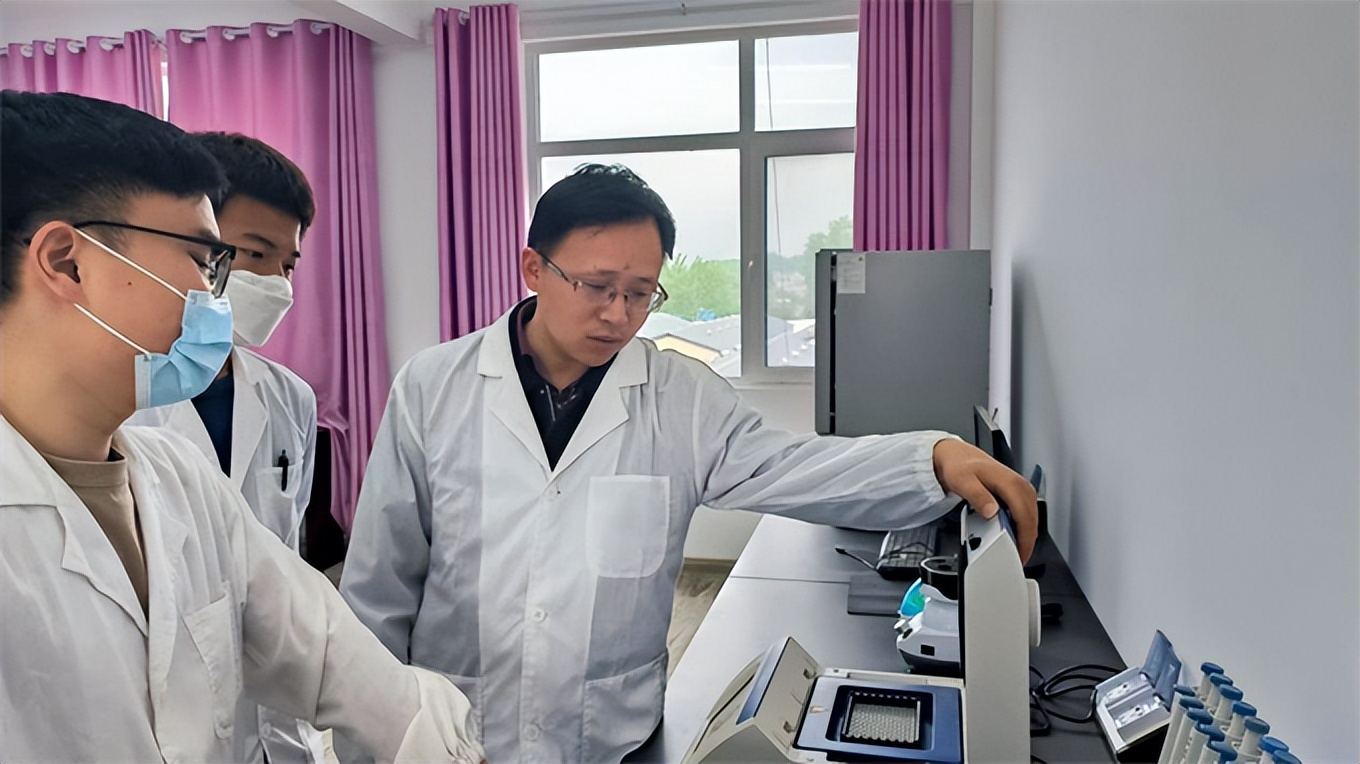 小鸽子创业,小鸽子大产业