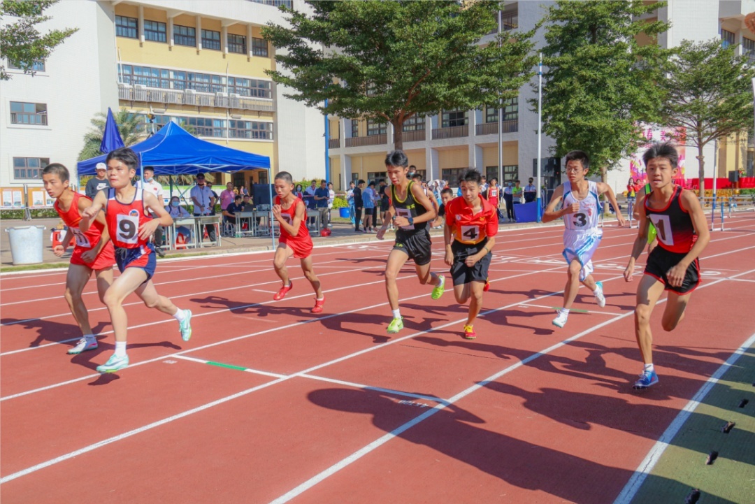 桂城教育,桂城教育资源