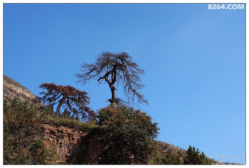 晋善晋美短视频,晋善晋美舞蹈视频