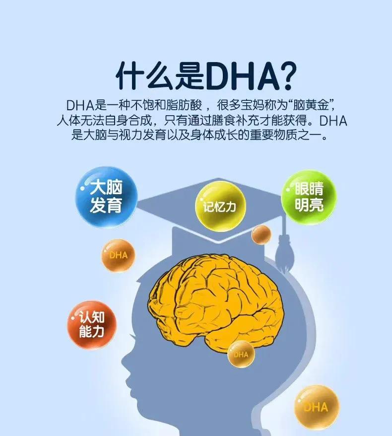 怀孕什么时候补DHA？胎儿大脑发育开始补，宝宝健康又聪明