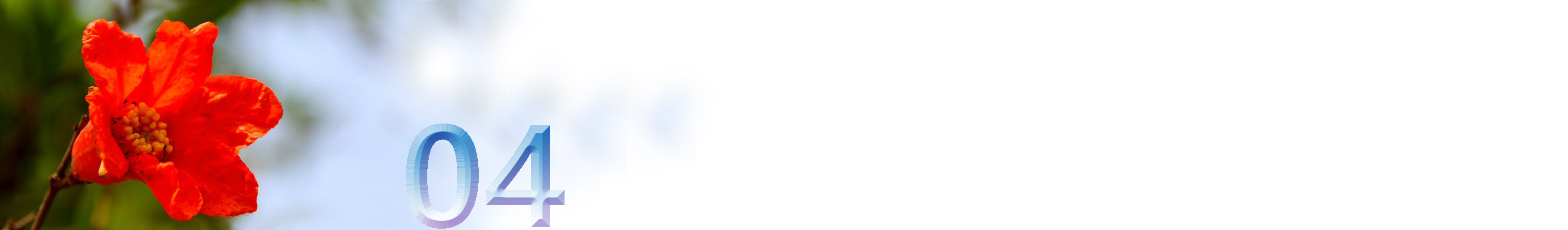 五月石榴花开的唯美诗句,关于石榴花的美文和诗句