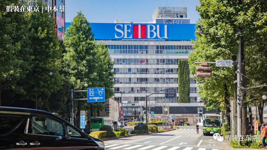 365张照片回顾,365张相片