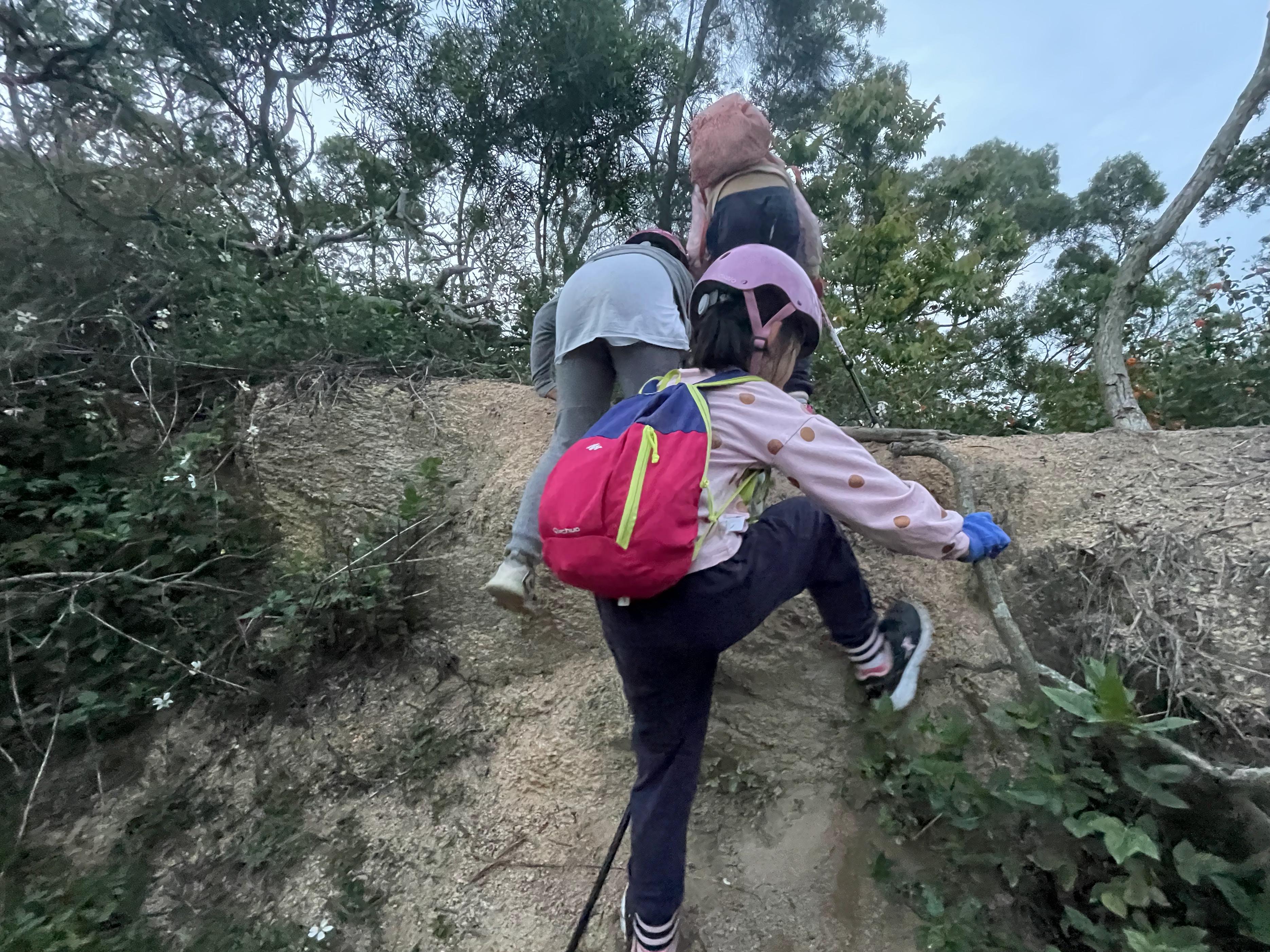 厦门带娃游玩推荐公园,厦门亲子游必去十大公园