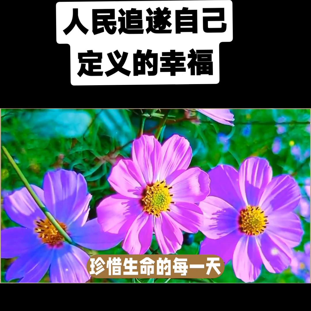 生活情感语录视频大全,生活情感语录
