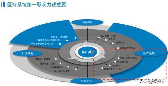 国际一线品牌在哪里进货,如何进行国际市场定位