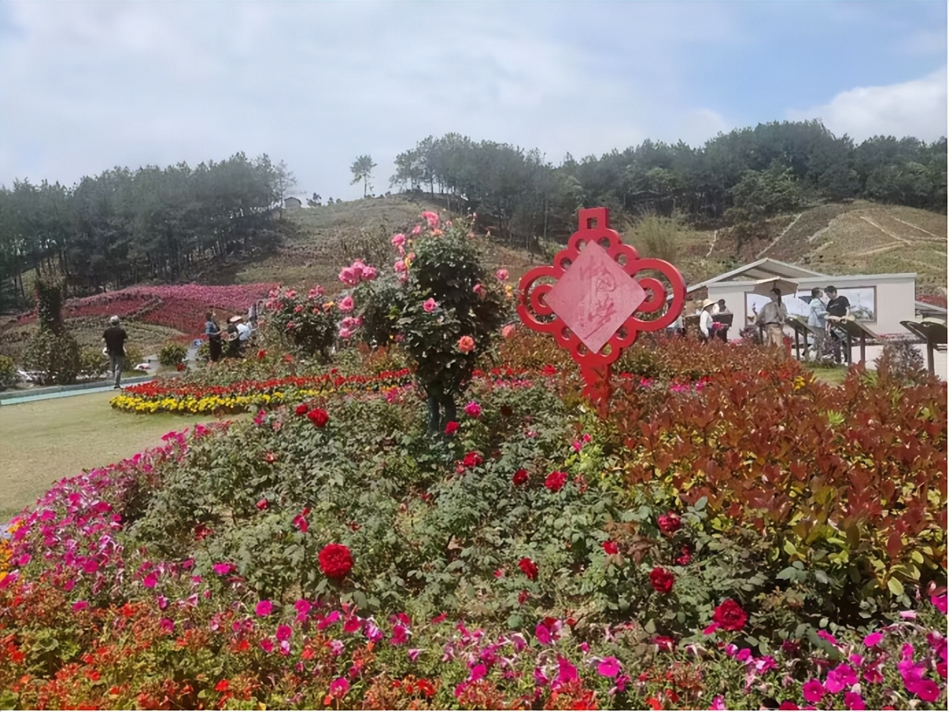 牛车河，一面乡村振兴的镜子（胡国民）