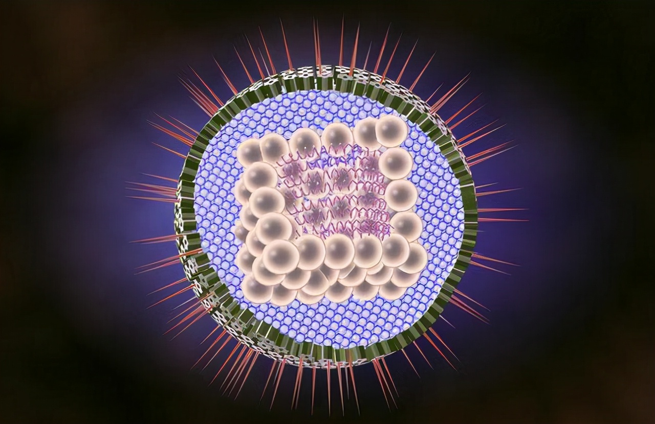 通过性传播的疾病有哪些,常见的性传播的疾病有哪些