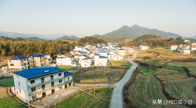 农村到底怎么发展农村才能富起来,农村里怎么发展好