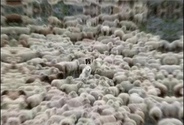 2023金融公司年终总结,金融行业年终总结封面