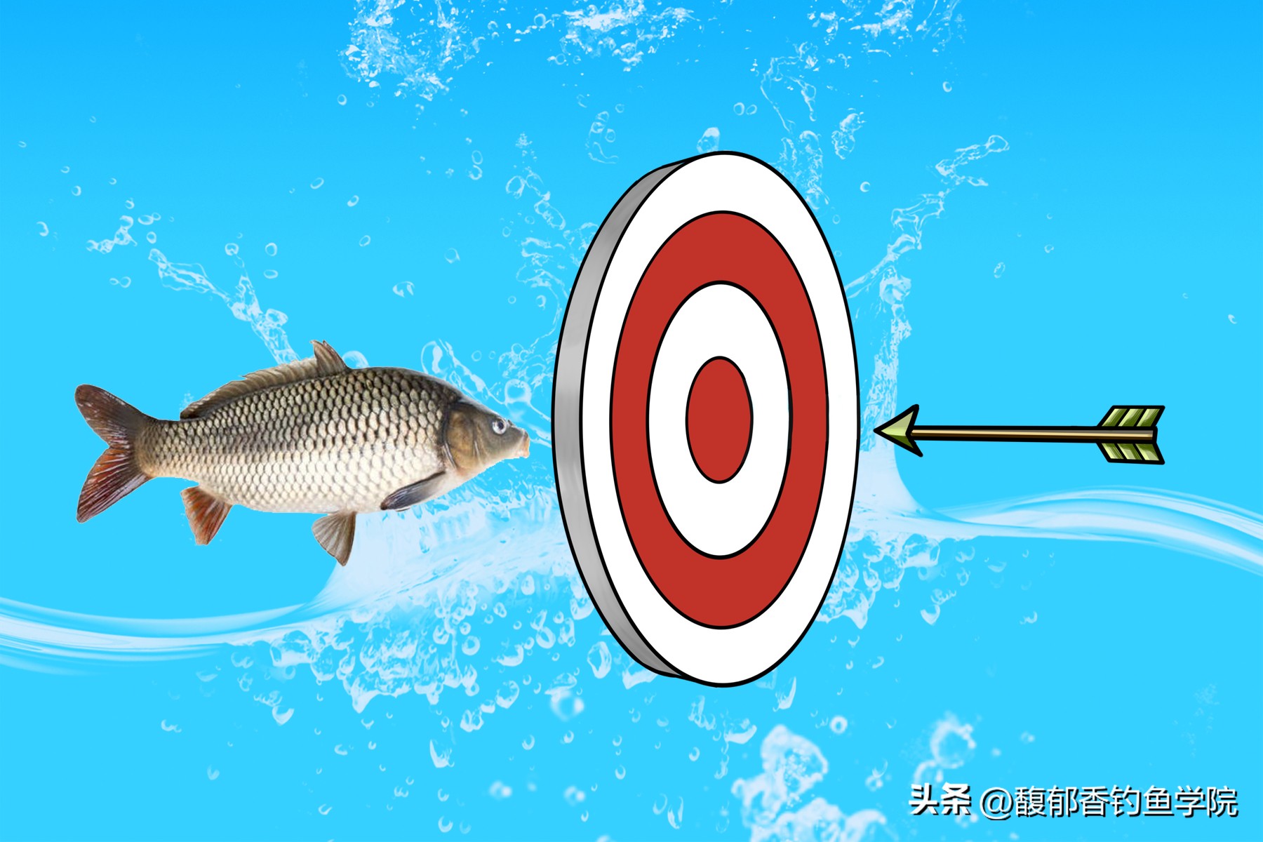 钓鱼鱼饵怎么买便宜的好用,渔具鱼饵怎么选