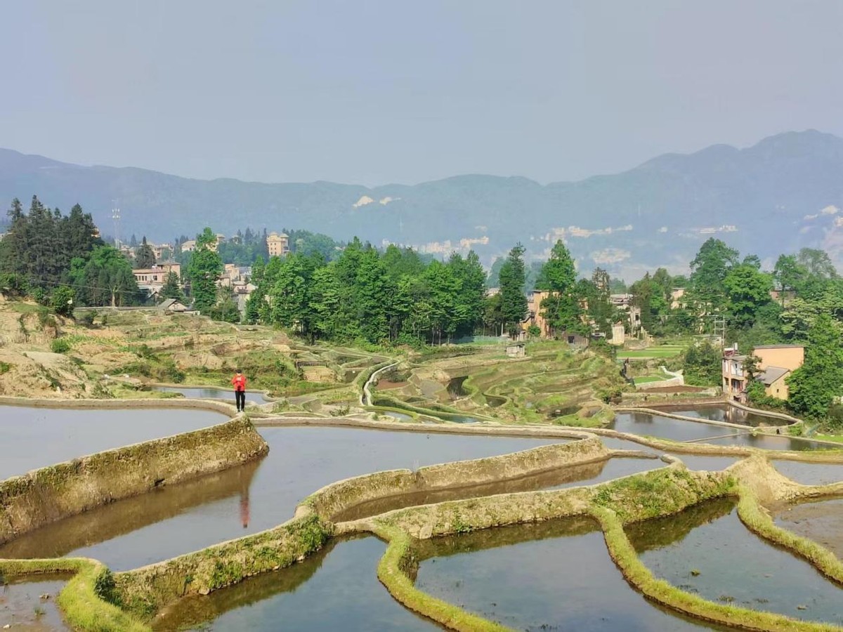 元阳梯田几月最佳,元阳梯田风景区