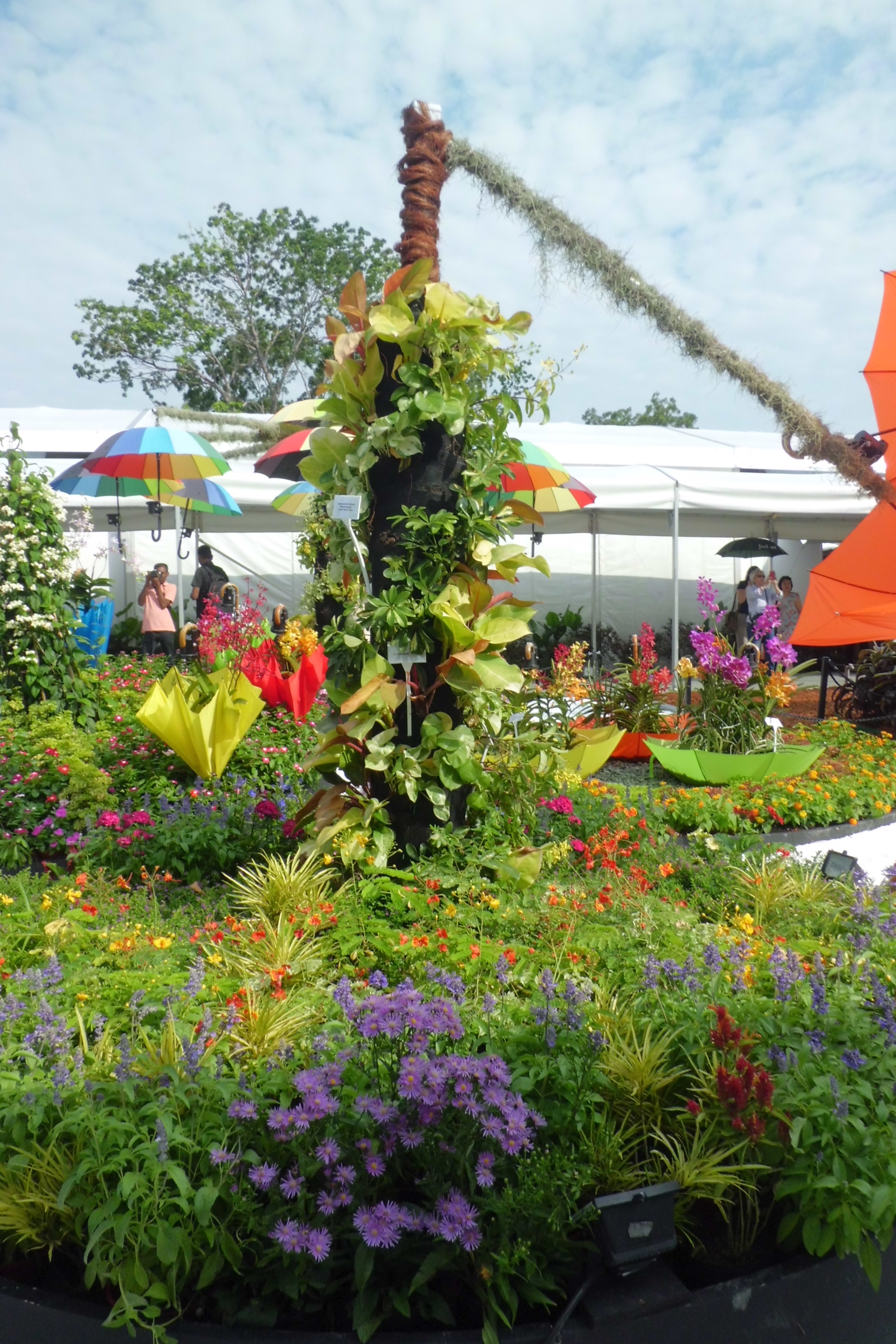 新加坡滨海湾金沙花园景观房,新加坡金沙空中花园高清图