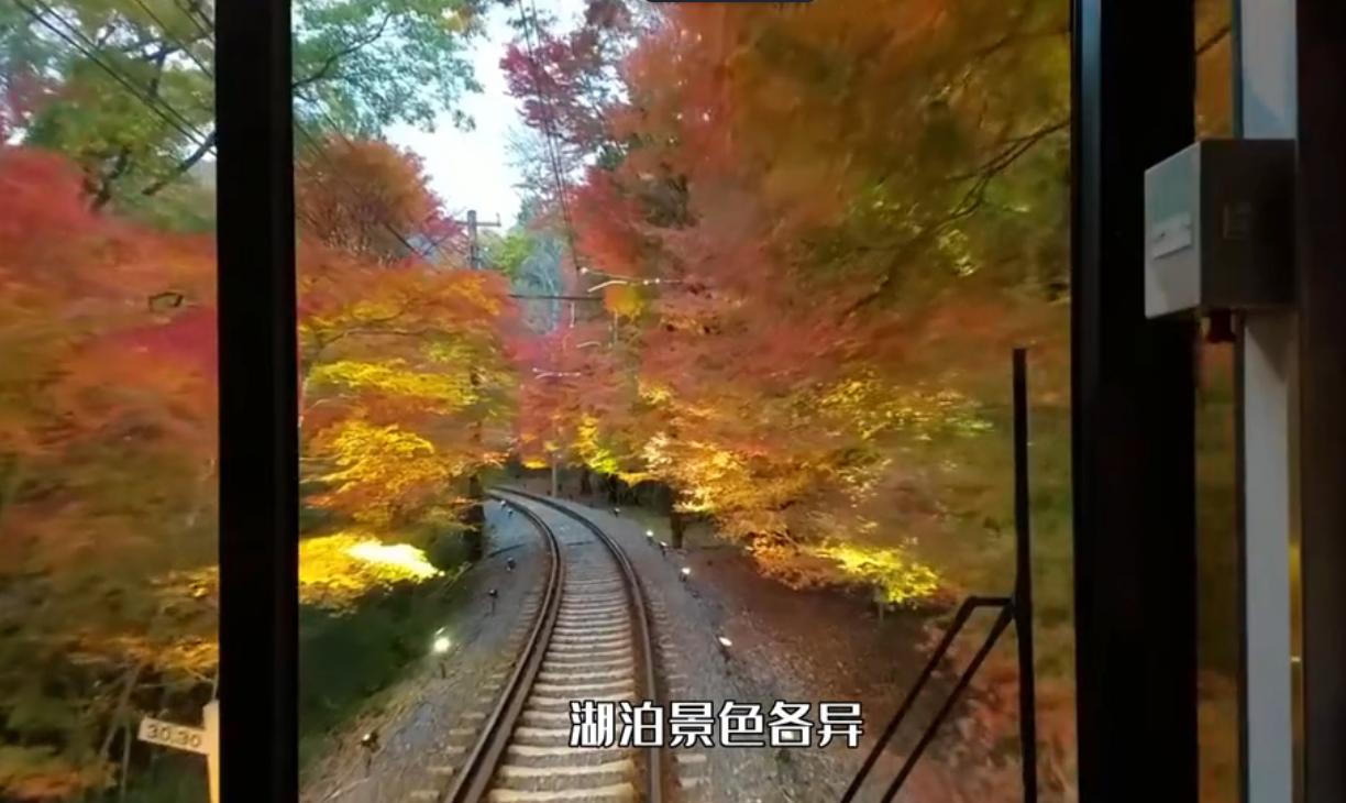 中国最美的景点,中国最美的四趟列车是