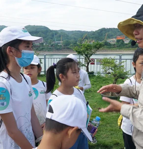 融媒小记者夏令营,融媒小记者栏目