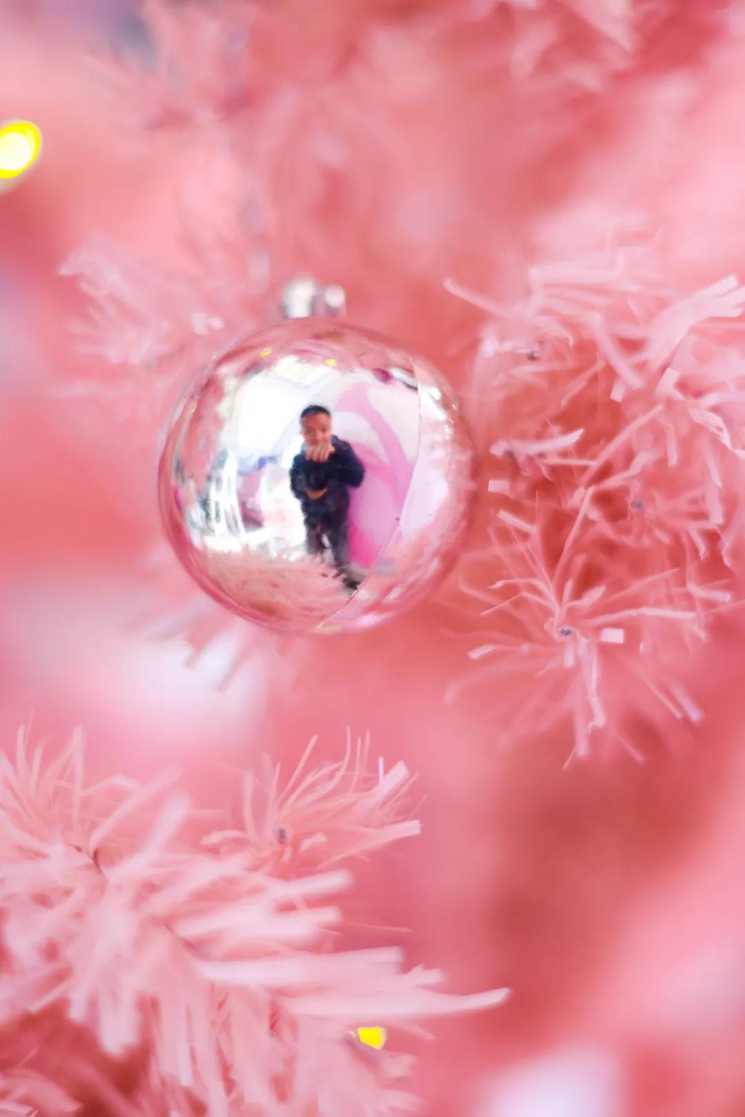 j-tea魔杰的茶哈尔滨店,j-tea魔杰的茶加盟费