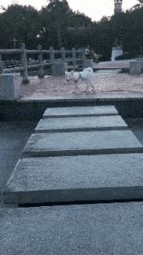 隔壁的单亲妈妈来我家借跑步机,但是为什么她还穿高跟鞋?: