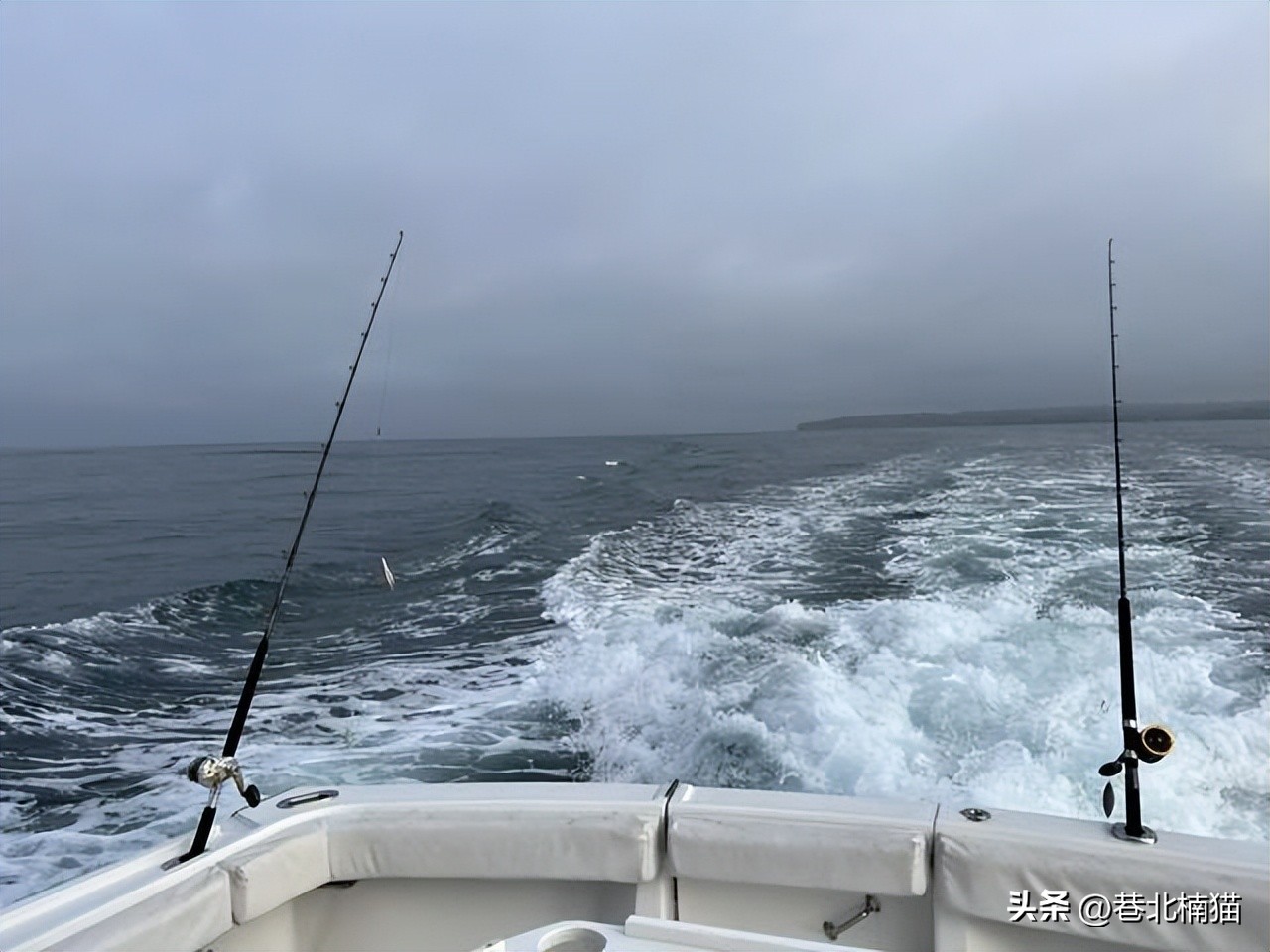 小伙花100块买下石头,小伙花一亿多买石头沉入海底