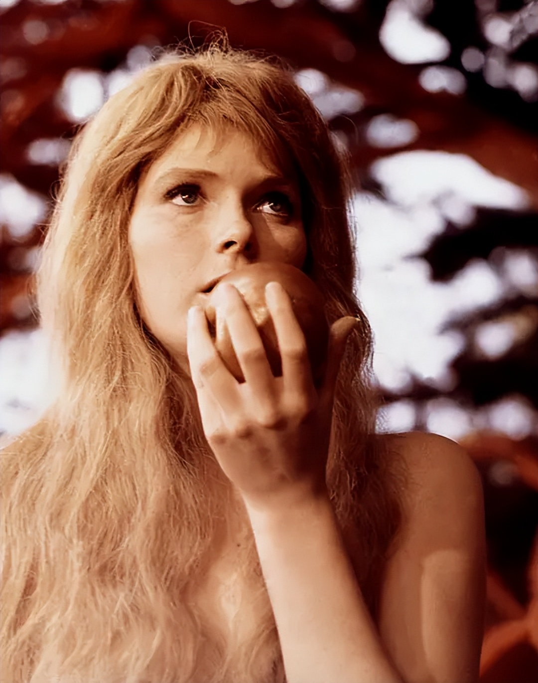 圣经电影创世时代,圣经中的意象及内涵