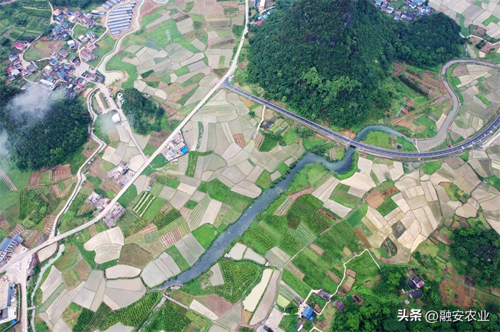 广西融安绘就美丽乡村画卷感想,融安泗顶田园航拍