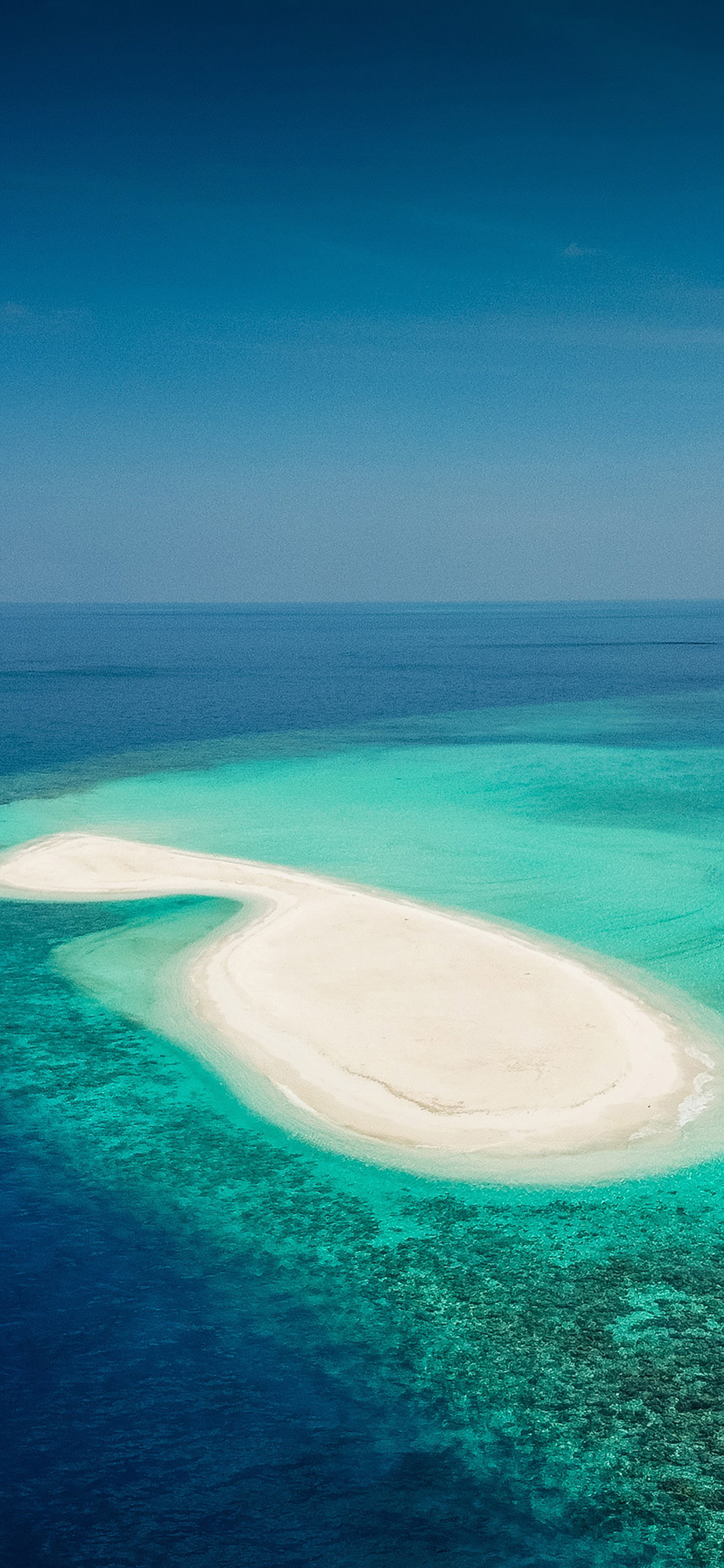 风景壁纸春,春天有百花秋有凉风冬有雪壁纸