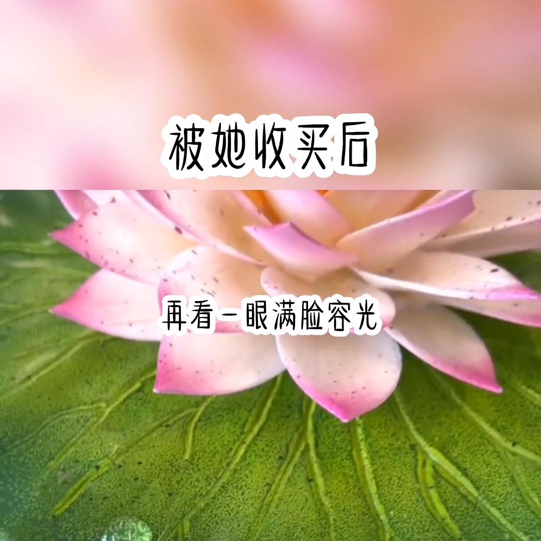 被人收买了,女人被收买