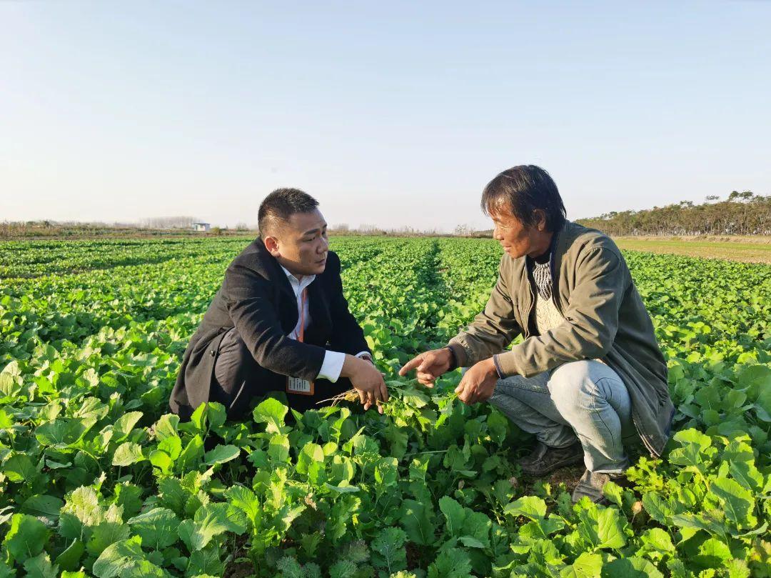 小龙虾产业成功案例,小龙虾养殖大户创业故事