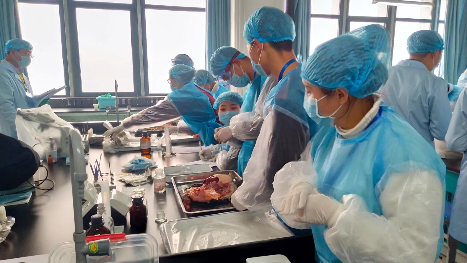 学兽医研究生就业前景,学兽医有出路吗一般兽医月薪多少