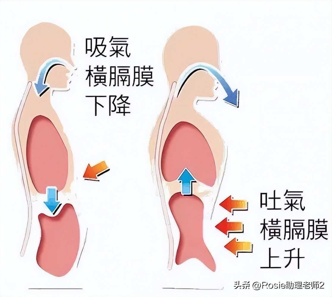 蔡文静上镜显胖的真实对比,蔡文静晒健身绝美腹肌照