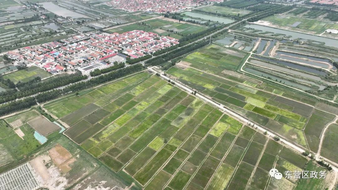 不负好时光田间地头助农忙,不负好时光春耕图