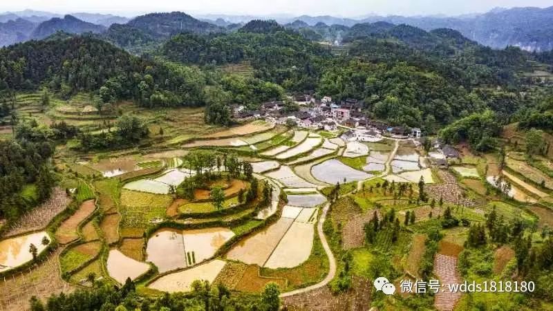 小小足球大梦想,小小足球