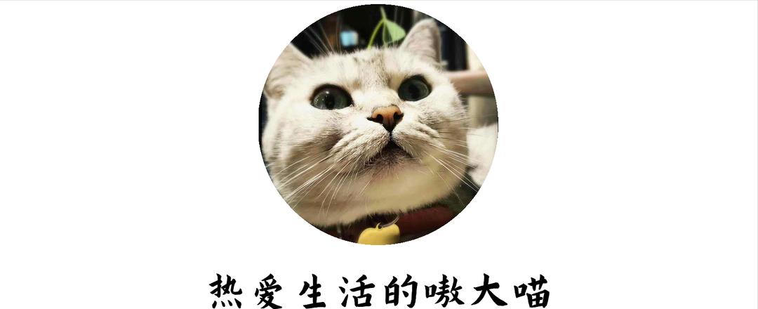 台式的微蒸烤炸一体机如何选,便宜微蒸烤炸一体机测评