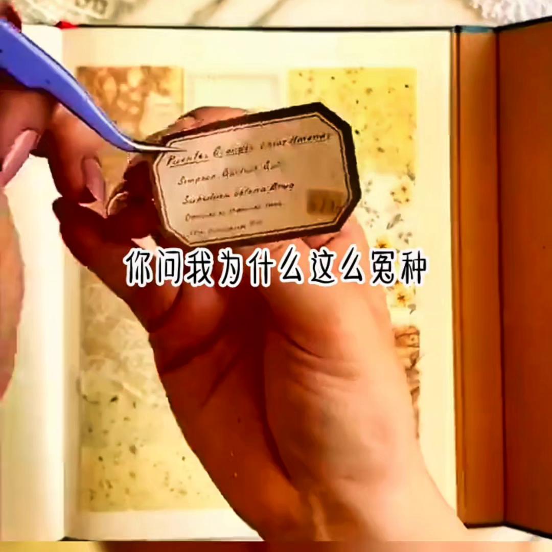 《知己难得末末》#推文超好看小说