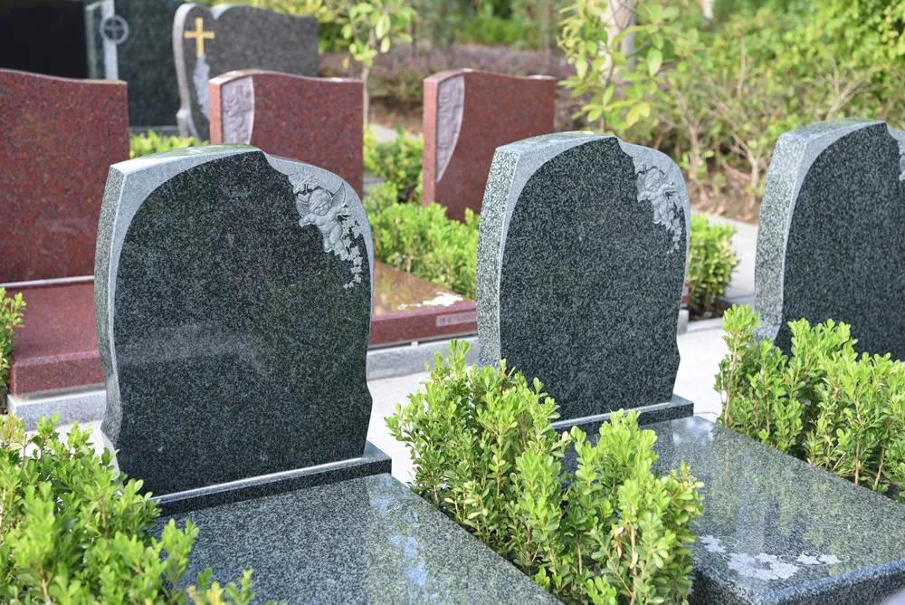 青浦的福寿园与滴水湖的福寿园,青浦福寿园与临港福寿园区别