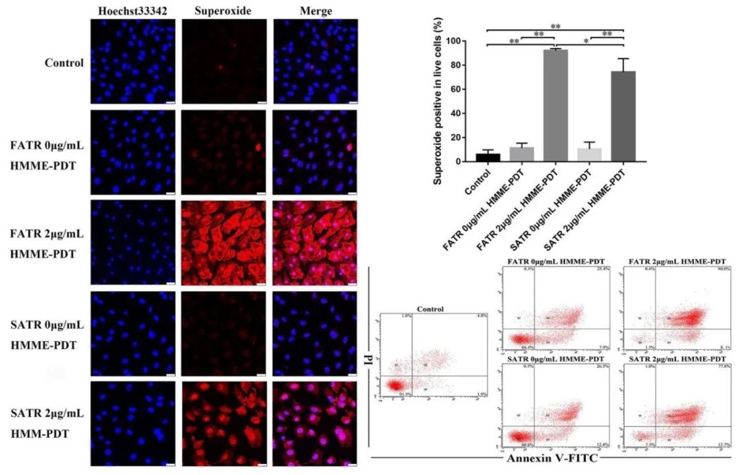 儿童创新科技最新,光动力治疗鲜红斑痣的机理
