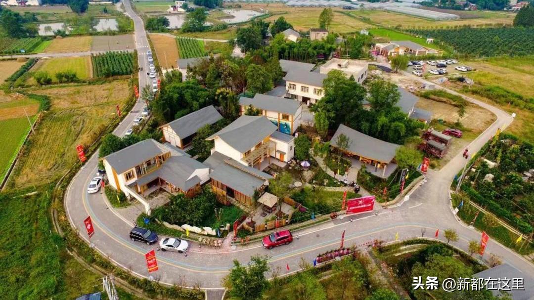 高质量发展新质生产力,高质量发展的高标准高起点