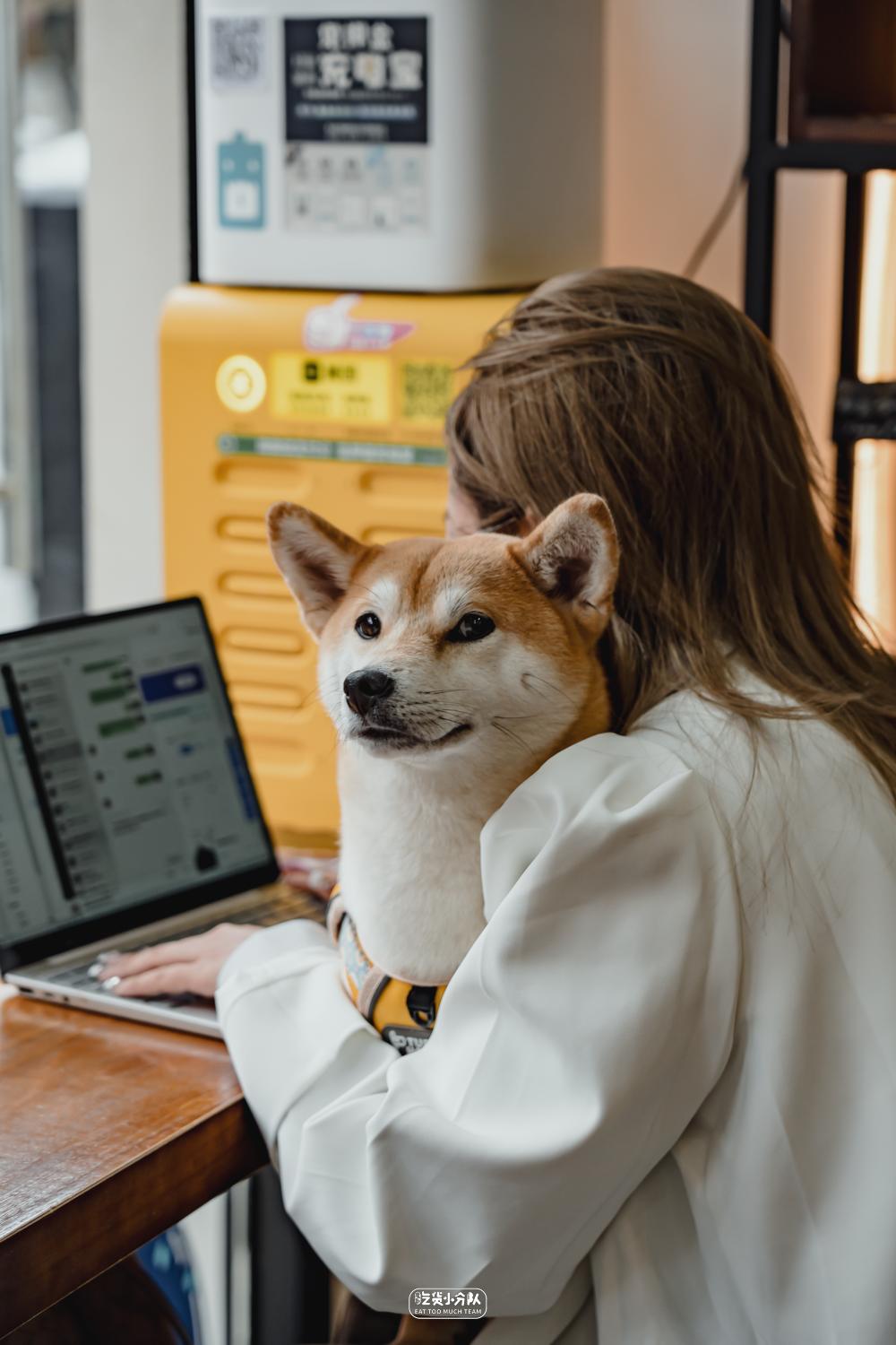 徐汇区独有的面包店,静安区好吃的面包店