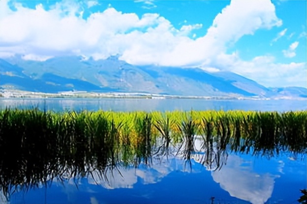 新冠肺炎历史每日数据,新冠肺炎历史全集