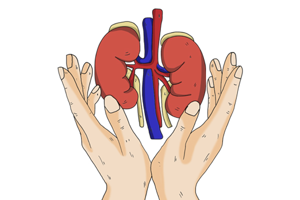 肾病到透析的地步算不算尿毒症,肾病到了哪一步就不可逆转了