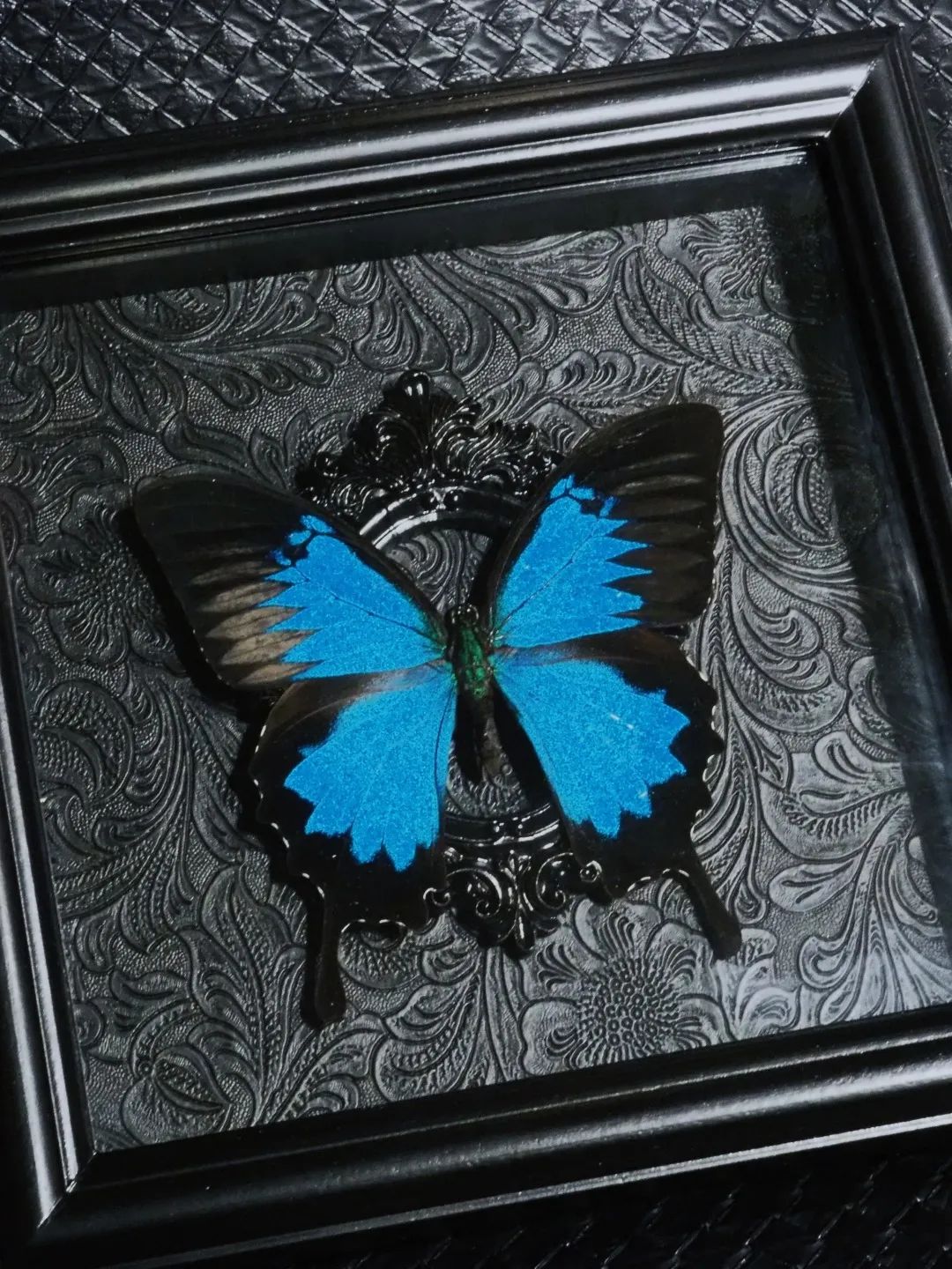 剧透第二波，再揭秘40位摊主！他们说万物有趣不如你有趣！