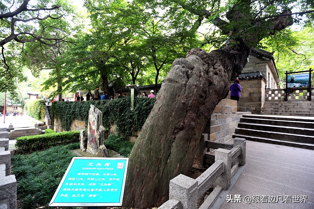青岛海上名山第一崂山,山东行烟台